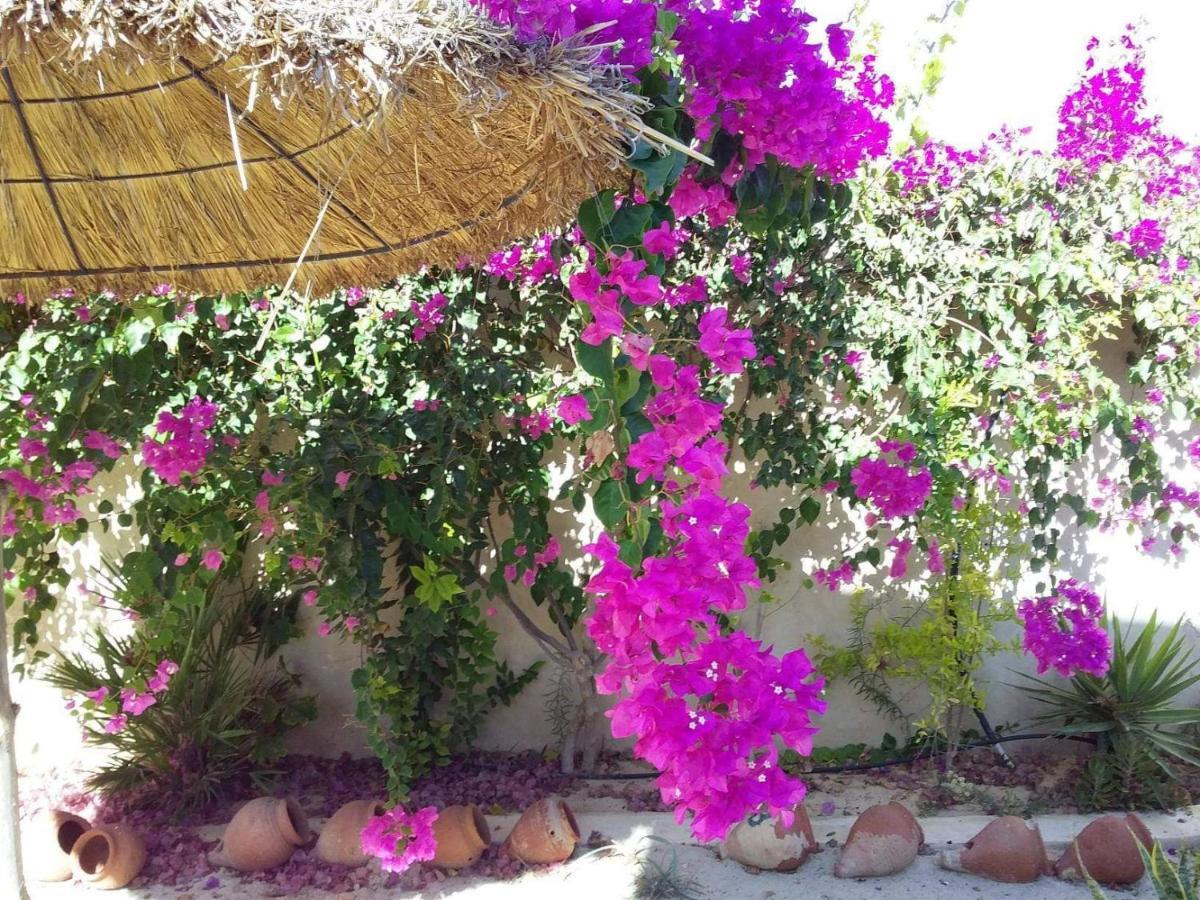 Dar Janis Djerba دار يانيس جربة Leilighet Houmt Souk  Rom bilde