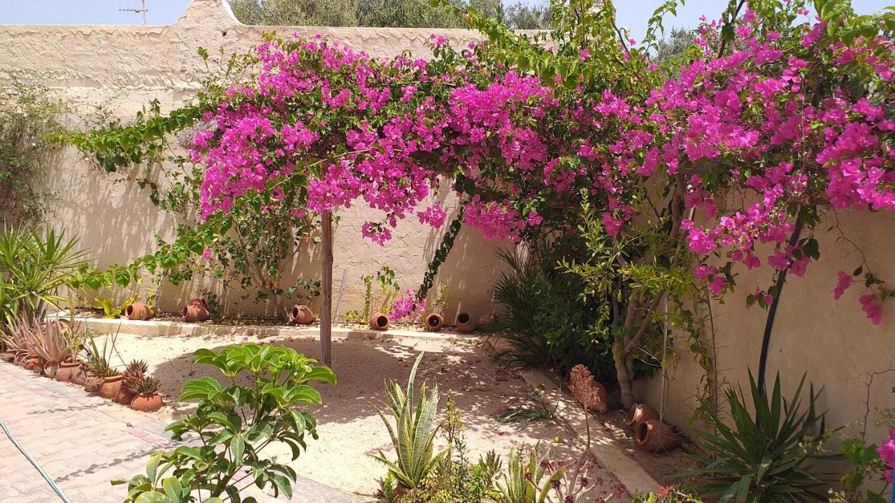 Dar Janis Djerba دار يانيس جربة Leilighet Houmt Souk  Eksteriør bilde