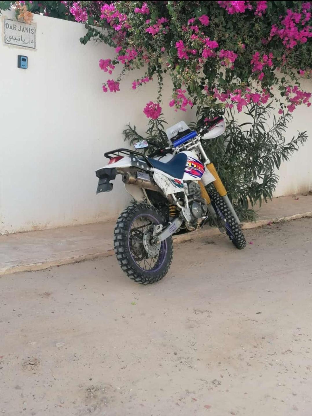 Dar Janis Djerba دار يانيس جربة Leilighet Houmt Souk  Eksteriør bilde